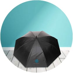 corporate umbrella