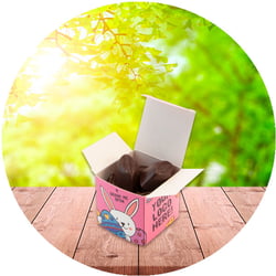 Eco-Maxi-Cube---Cocoa-Bean-Truffles-Blog-1
