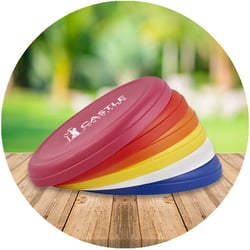 Frisbee-Blog