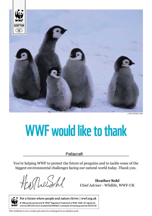 Pella Penguin WWF Certificate