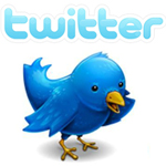 Twitter bird