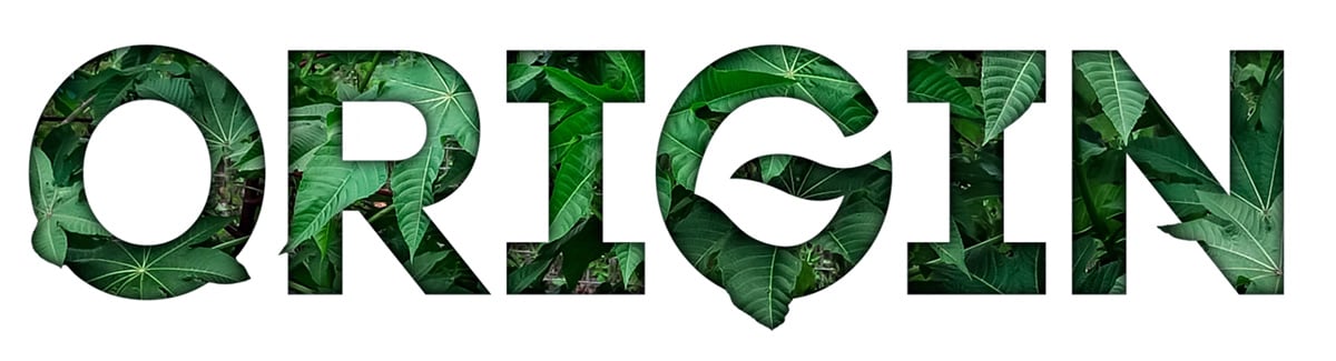 bic_originas_blog_header