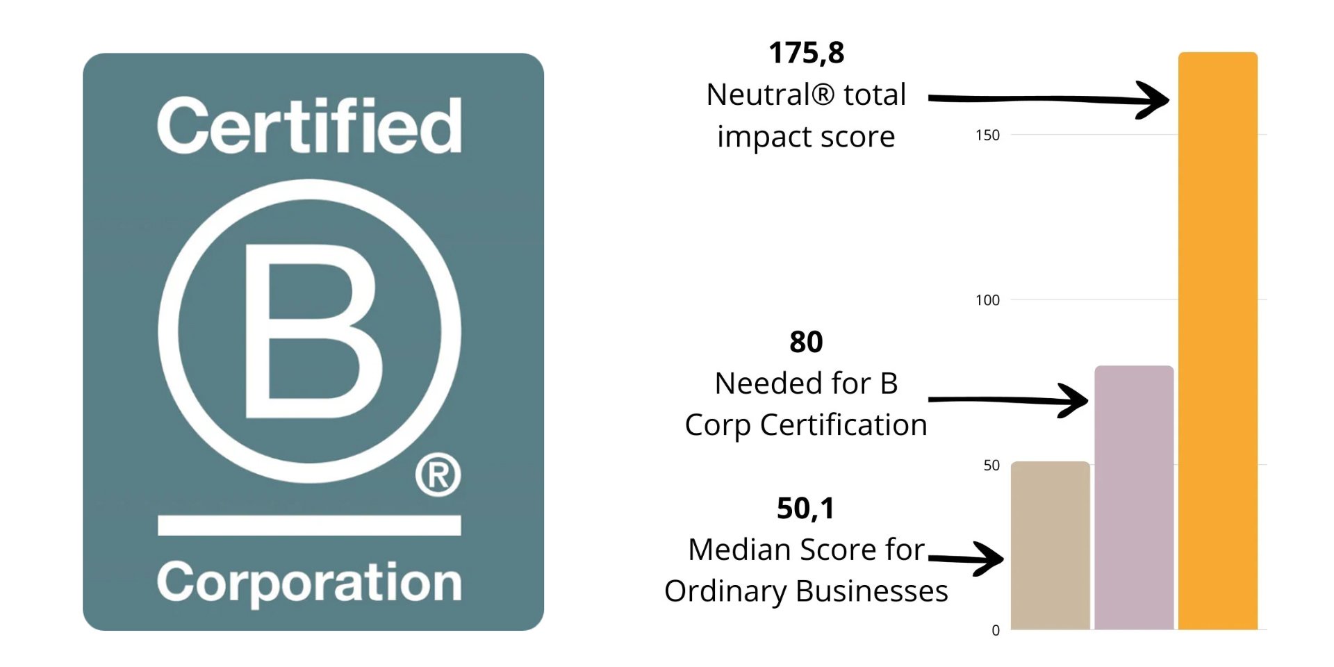 pellacraft_neutral_blog_feb06_blog_img_a