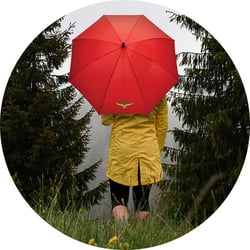storm-umbrella