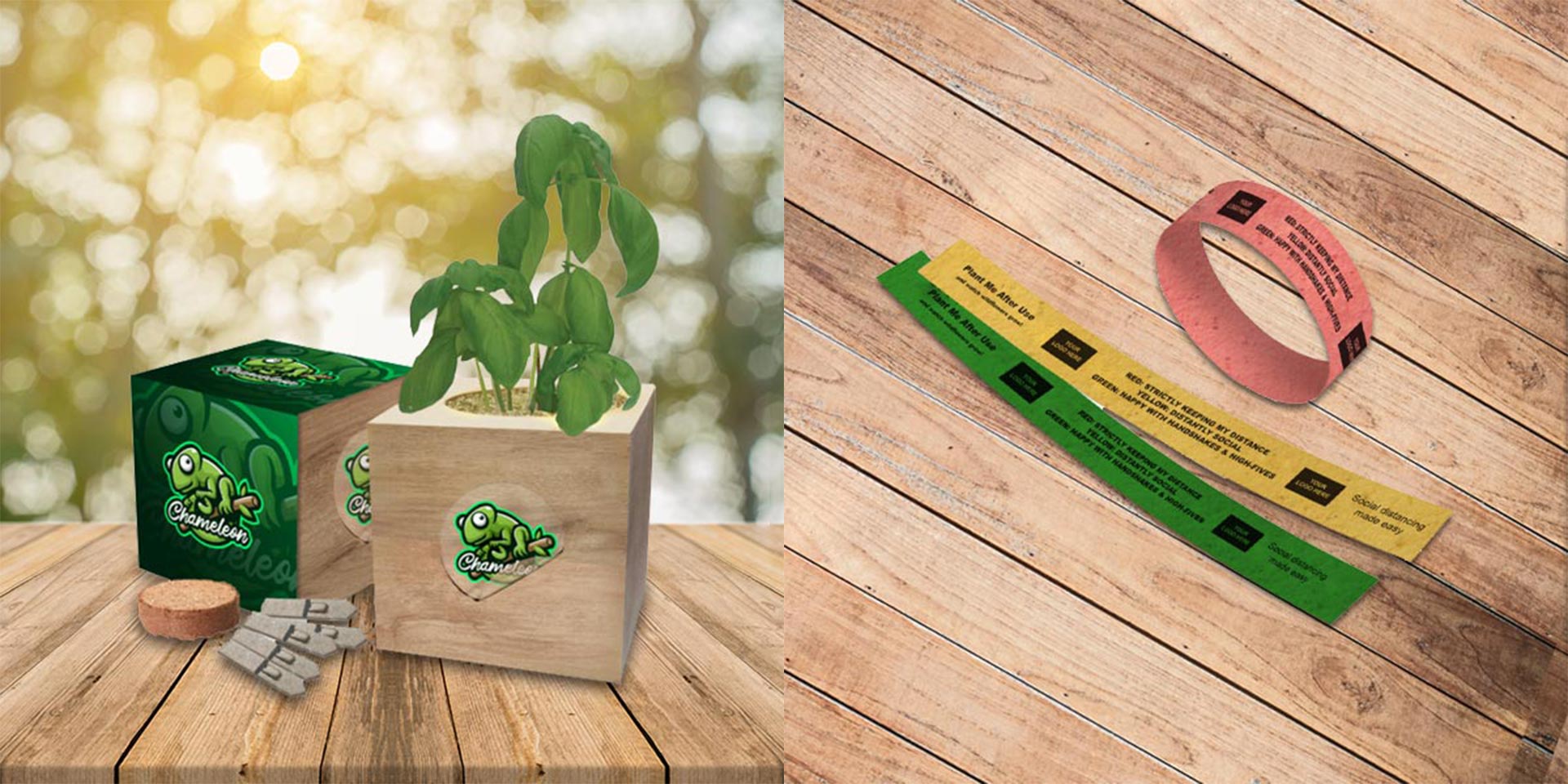 Promotional Products Blog Issue 56 - Great Eco-Friendly Giveaways for Events