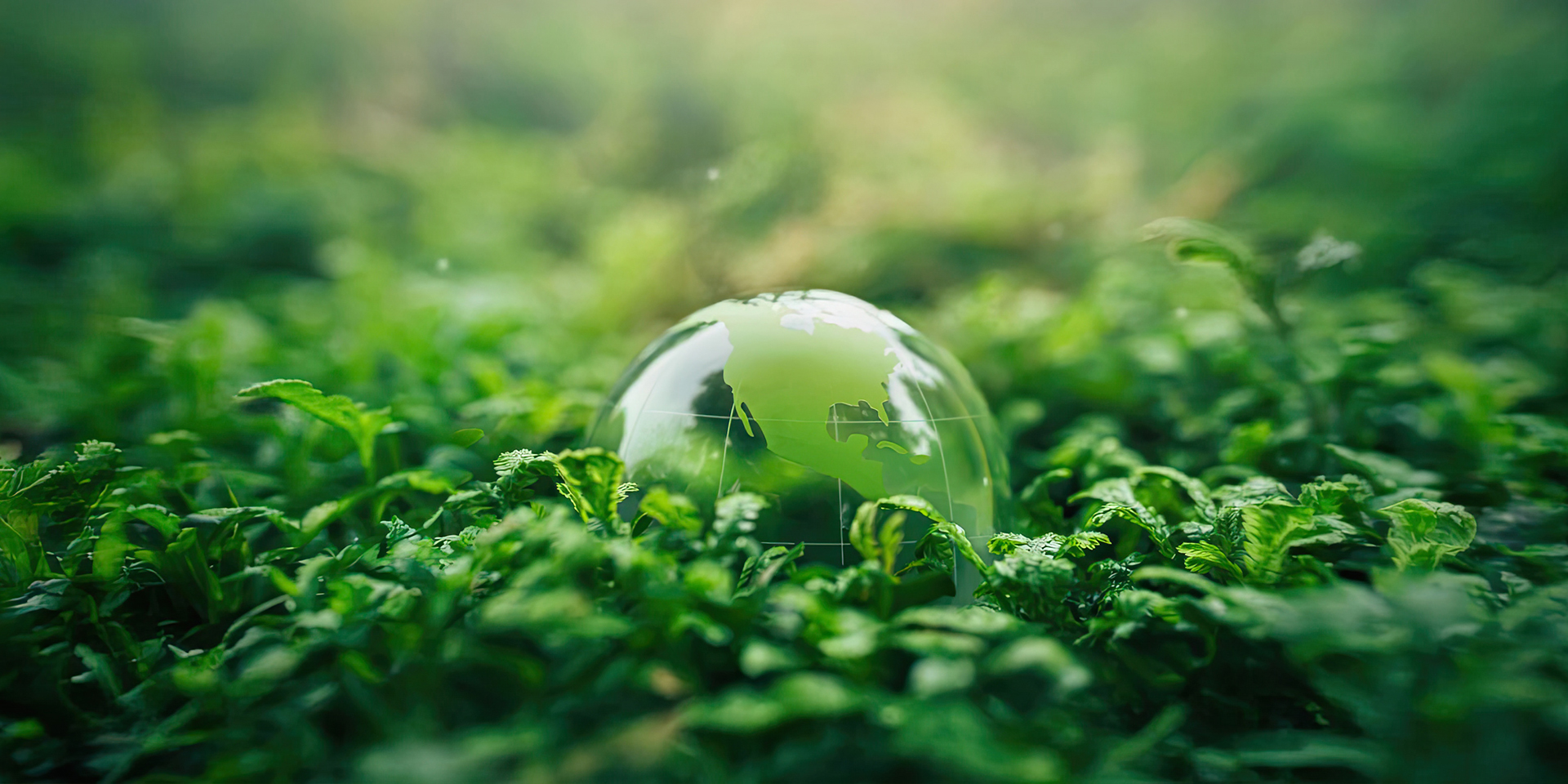 Brands with a Story and Purpose