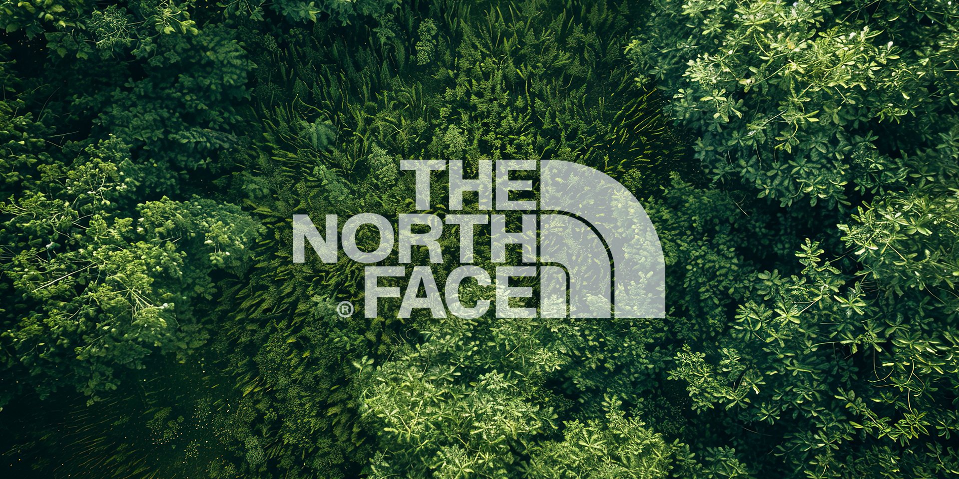 Discover Pellacraft’s New Branded Promotional Clothing Range Featuring The North Face